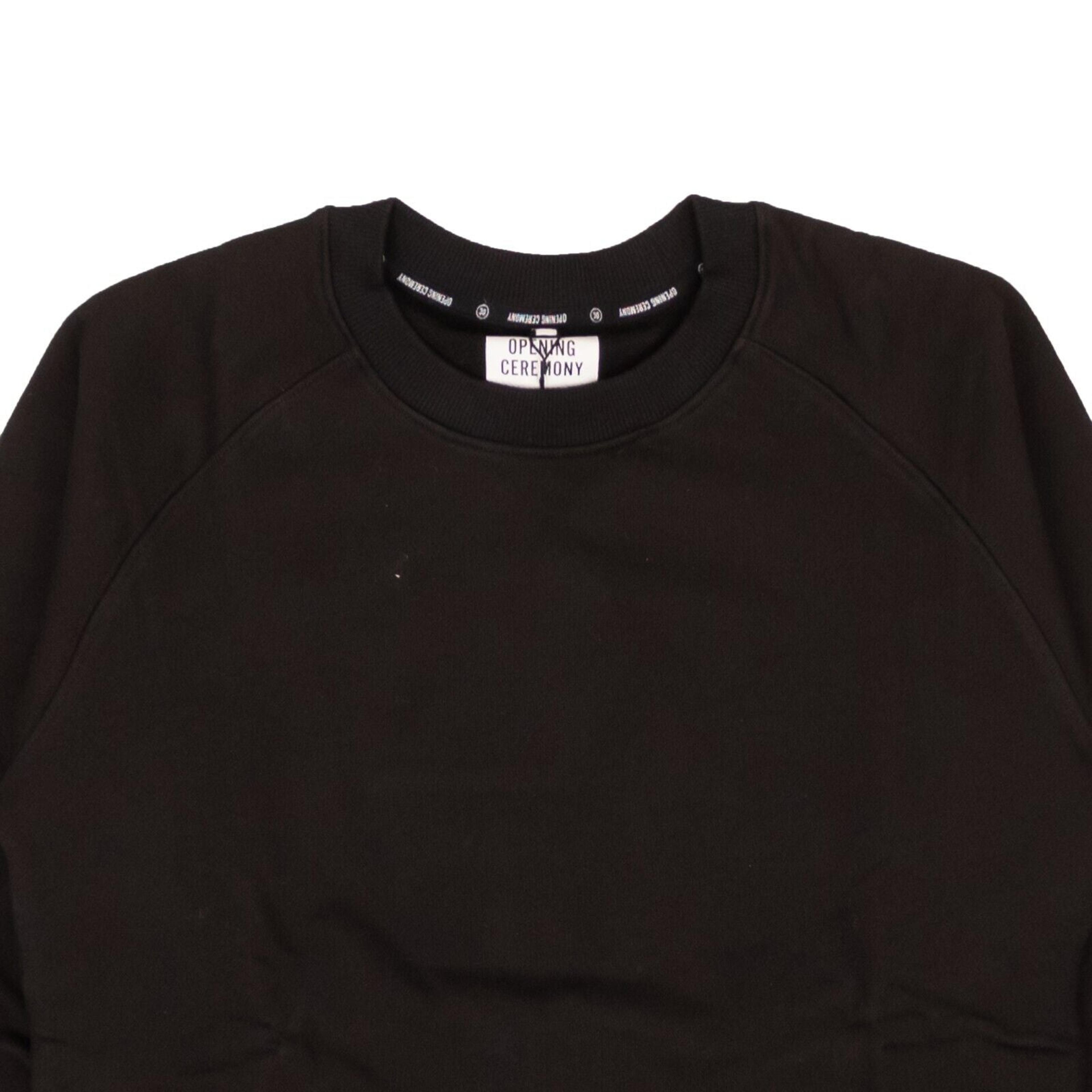 Alternate View 1 of Black Cotton Blank Raglan Sweatshirt