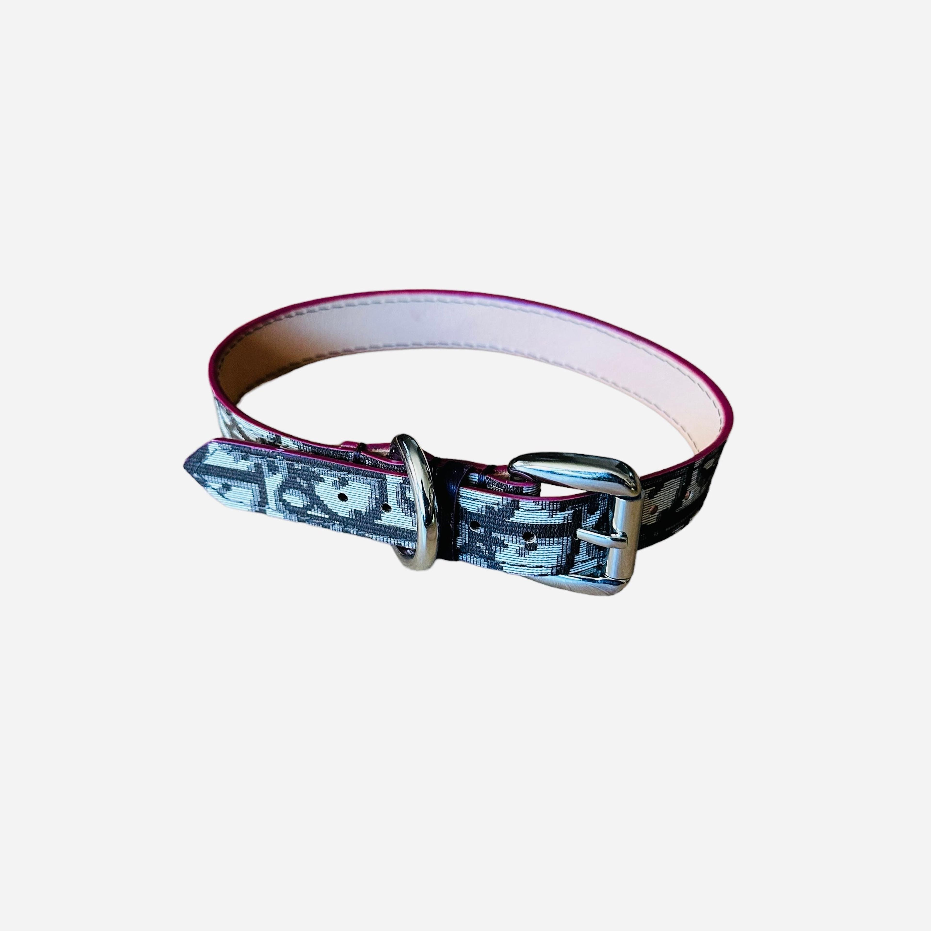 NTWRK - Dior Dog Collar (M)