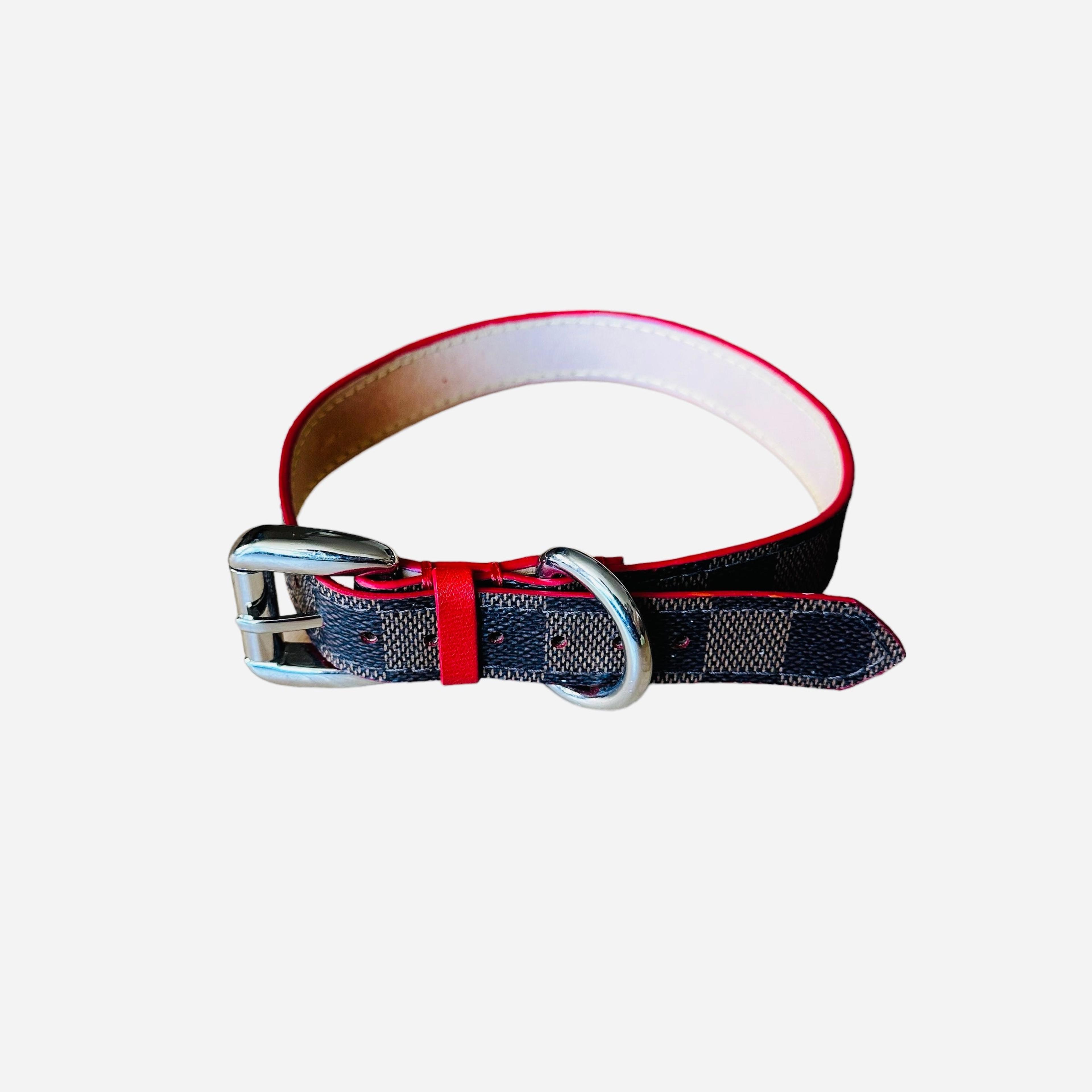 Louis Vuitton Damier Dog Collar (M)
