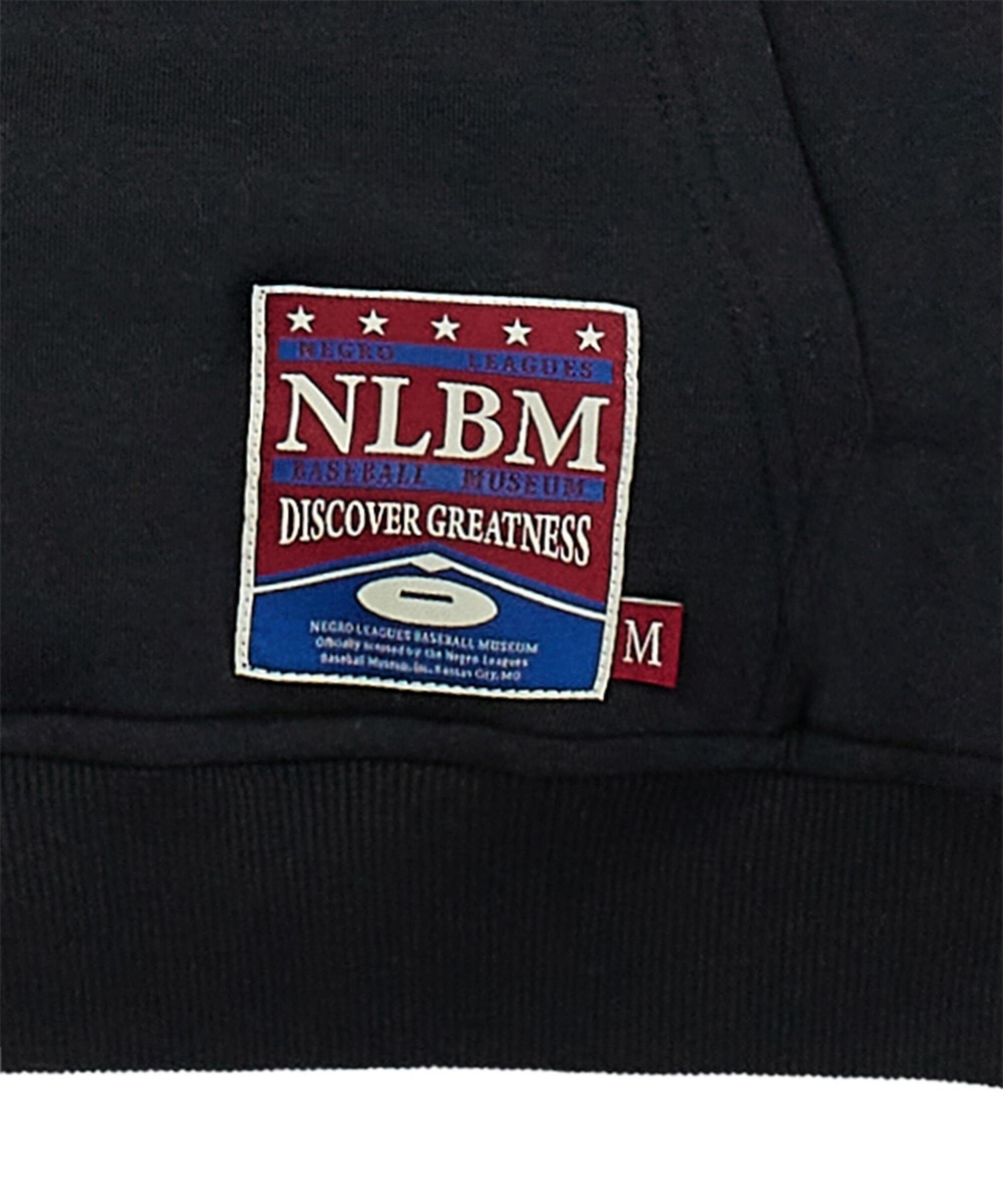 NLBM CAP