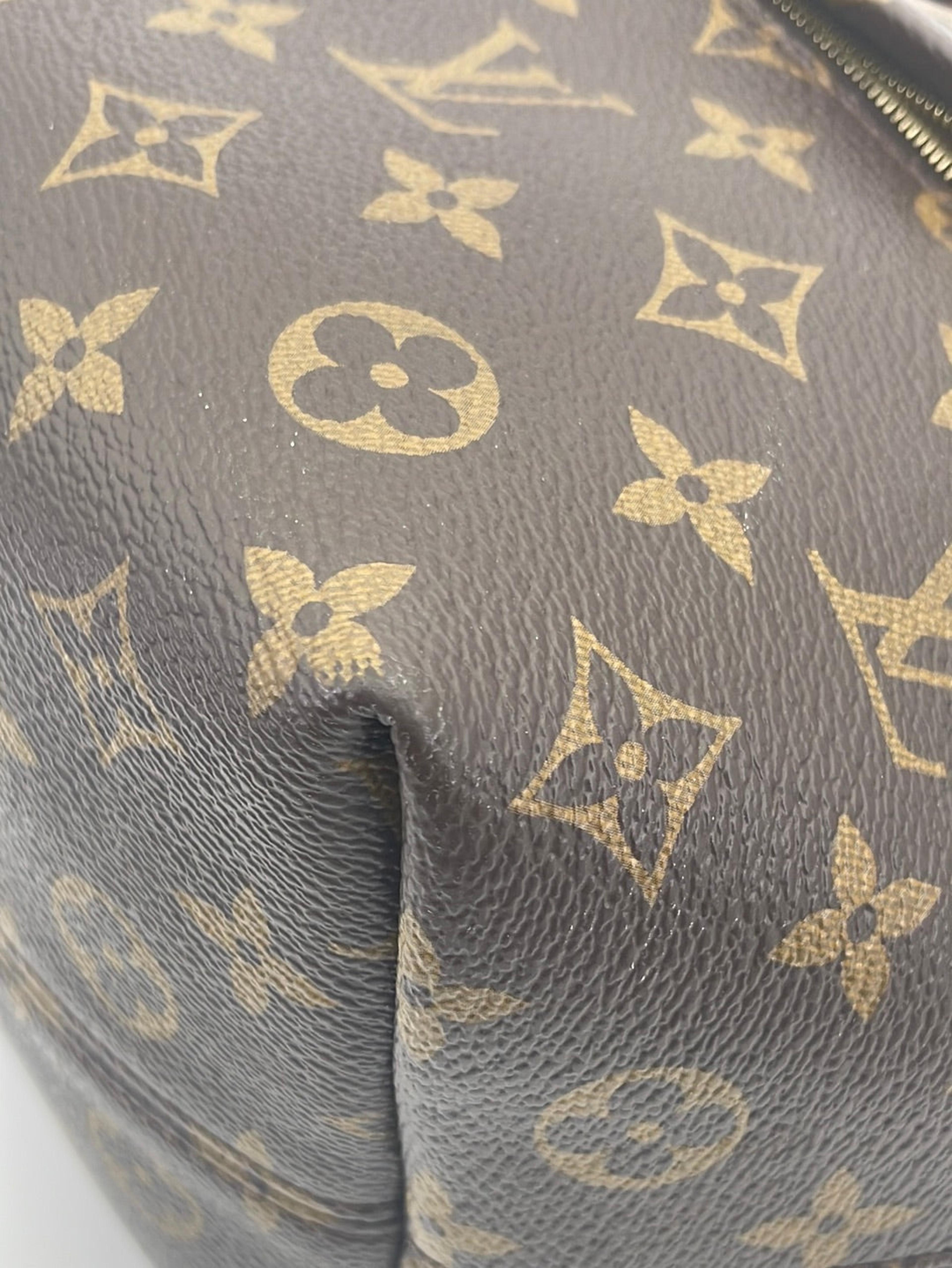 Louis Vuitton Monogram Montsouris Nm Backpack Mm