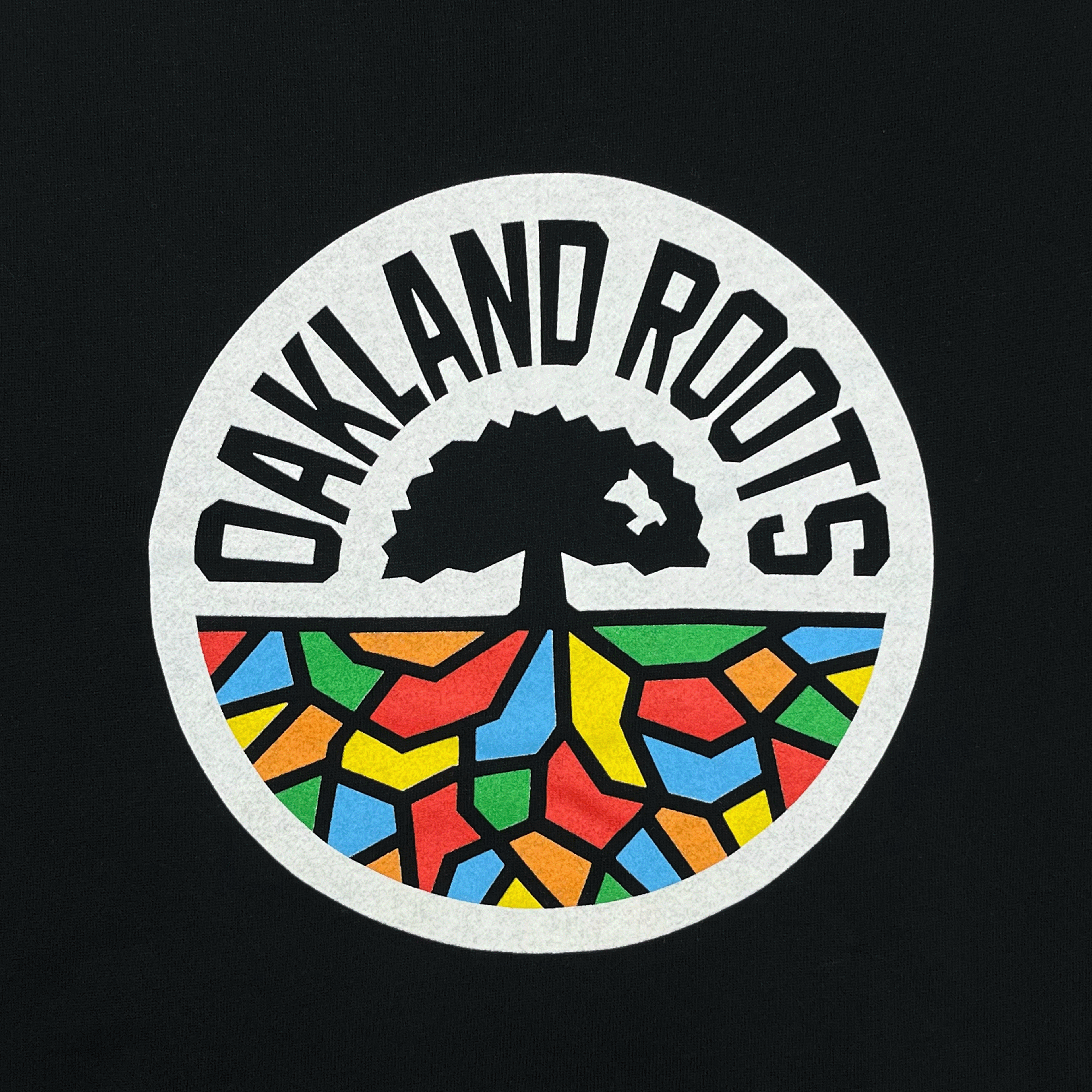Alternate View 3 of Oakland Roots SC Logo 2.0 Hoodie