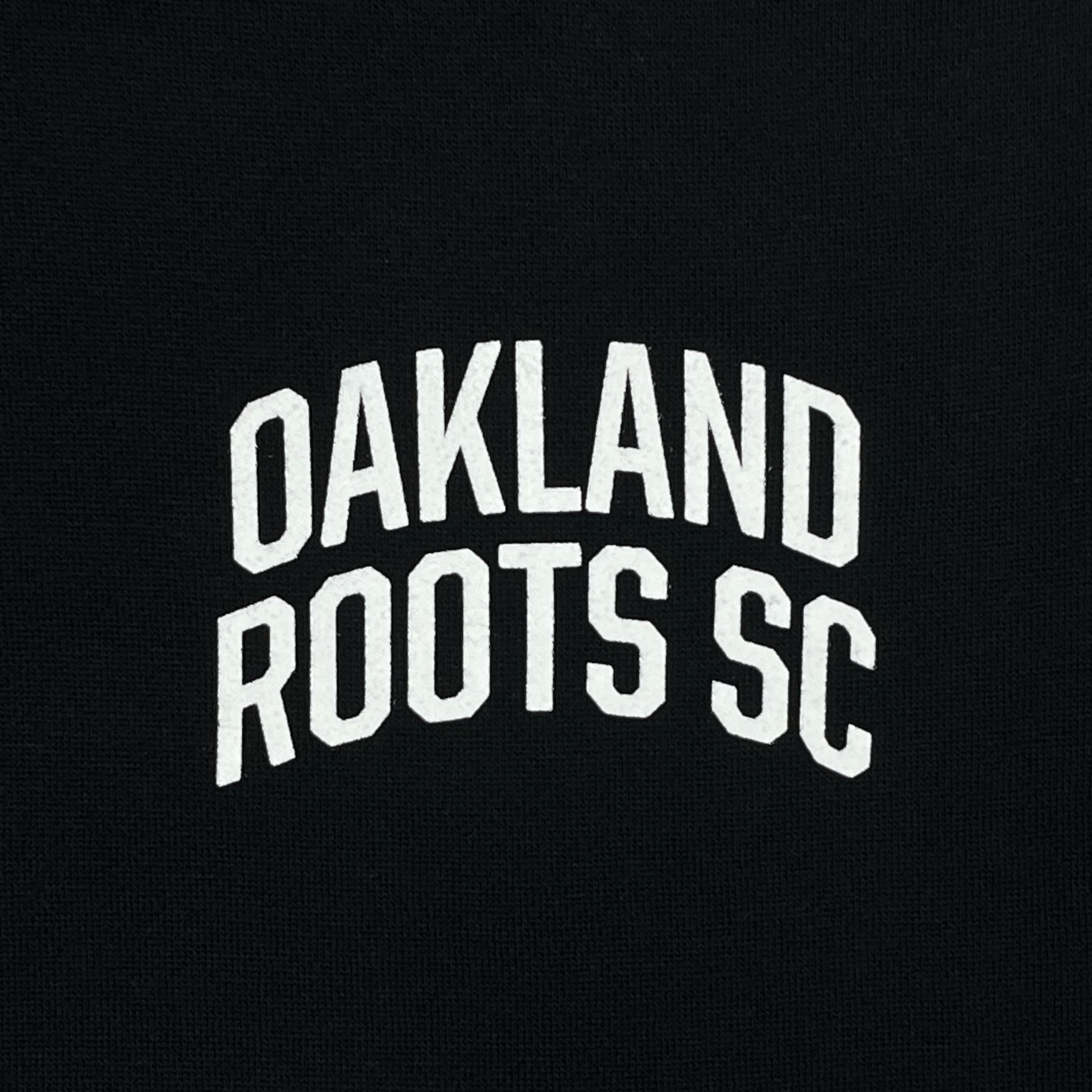 Alternate View 2 of Oakland Roots SC Logo 2.0 Hoodie
