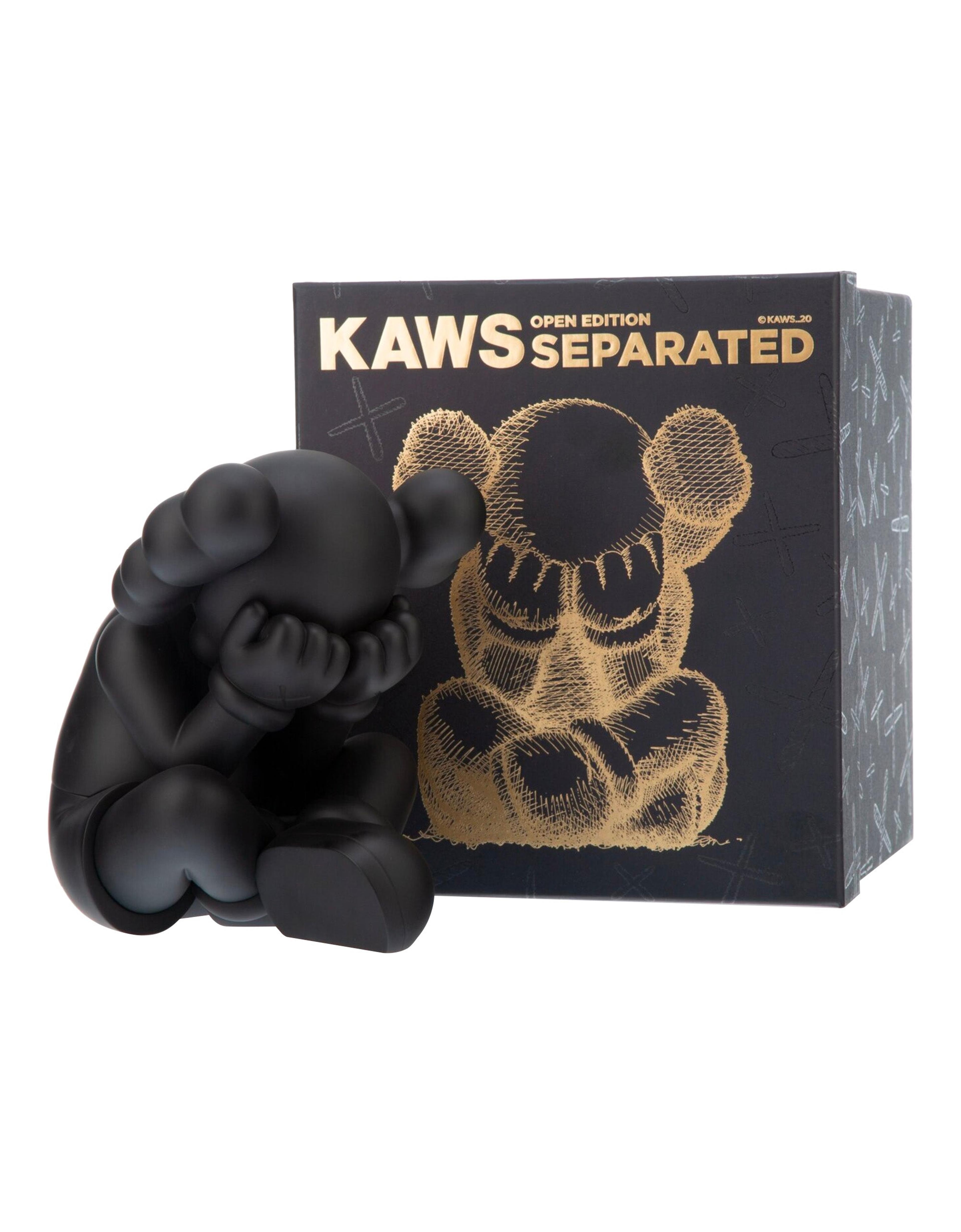 Alternate View 2 of KAWS - Separated Black, 2021