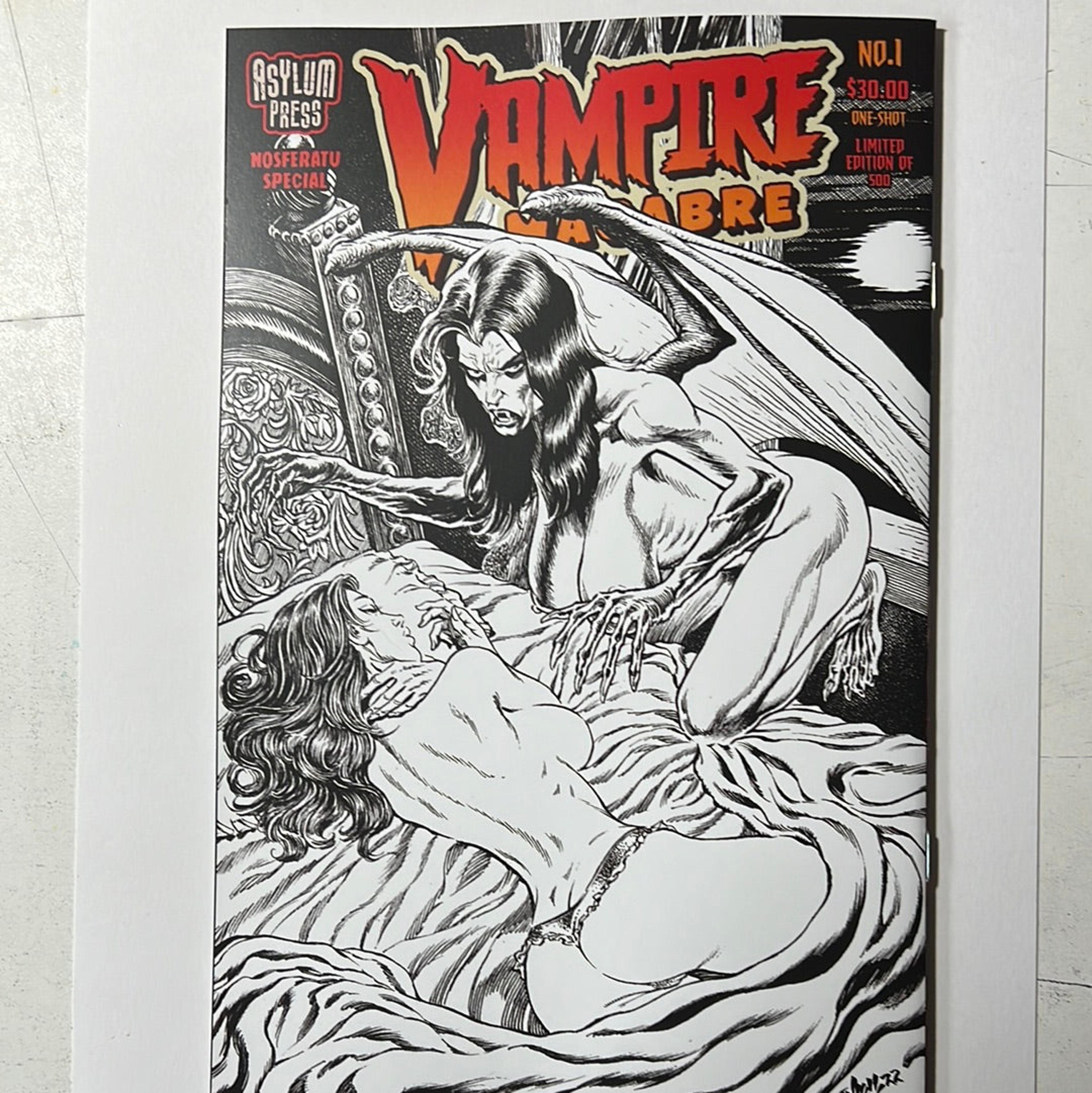 Alternate View 4 of Vampire Macabre:Nosferatu Special #1D Tim Vigil Risque