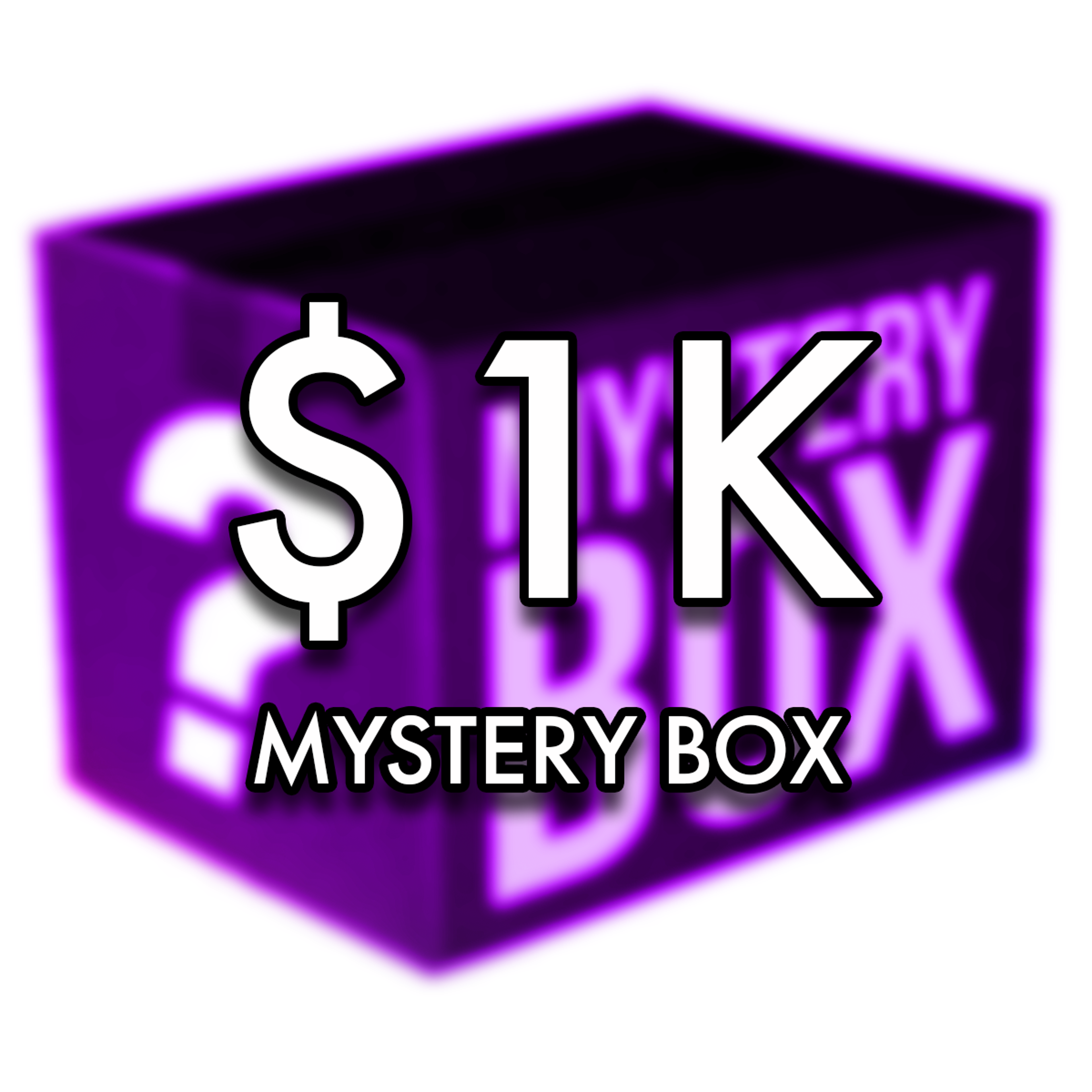 $1,000 Mystery Bag