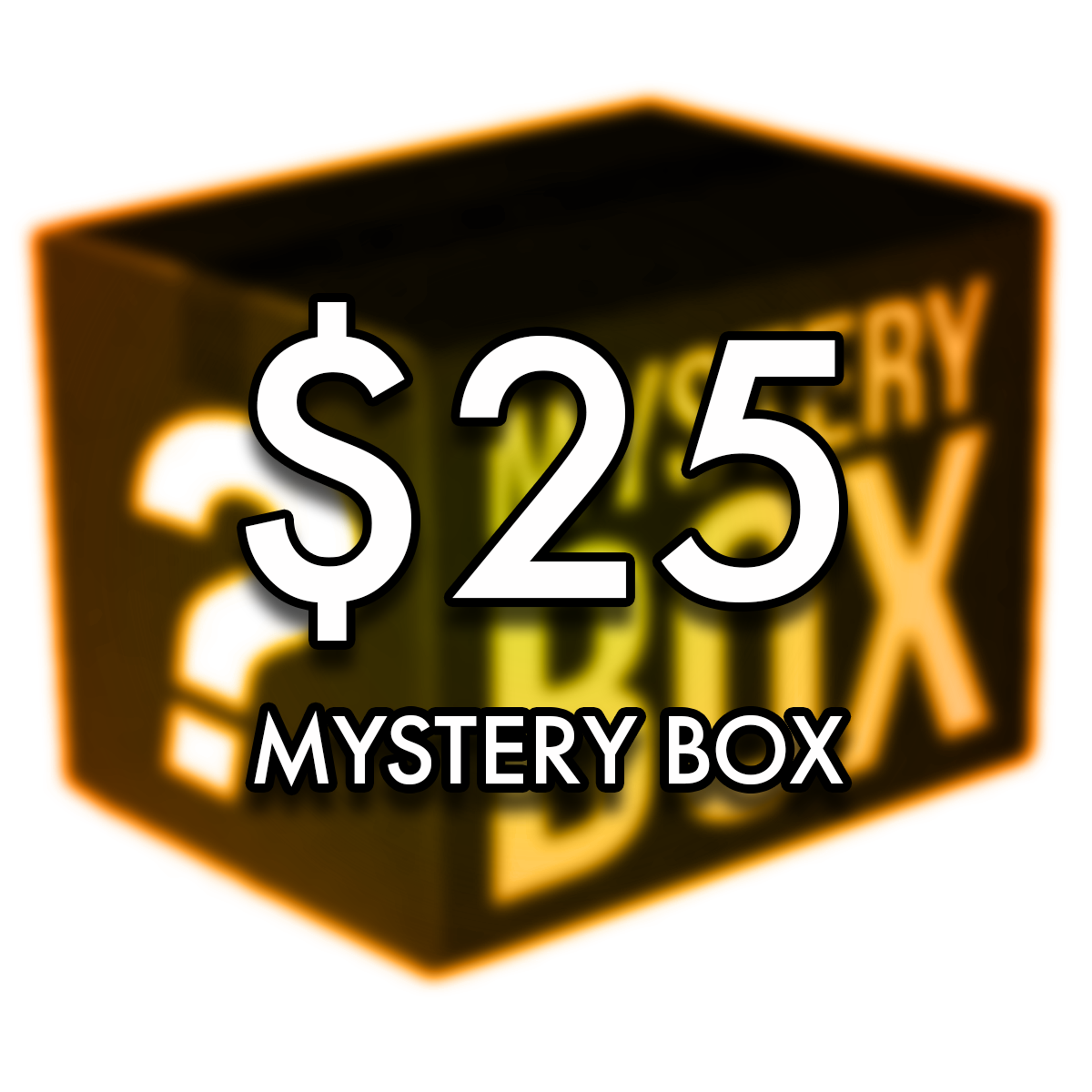 $ 25 Mystery Bag