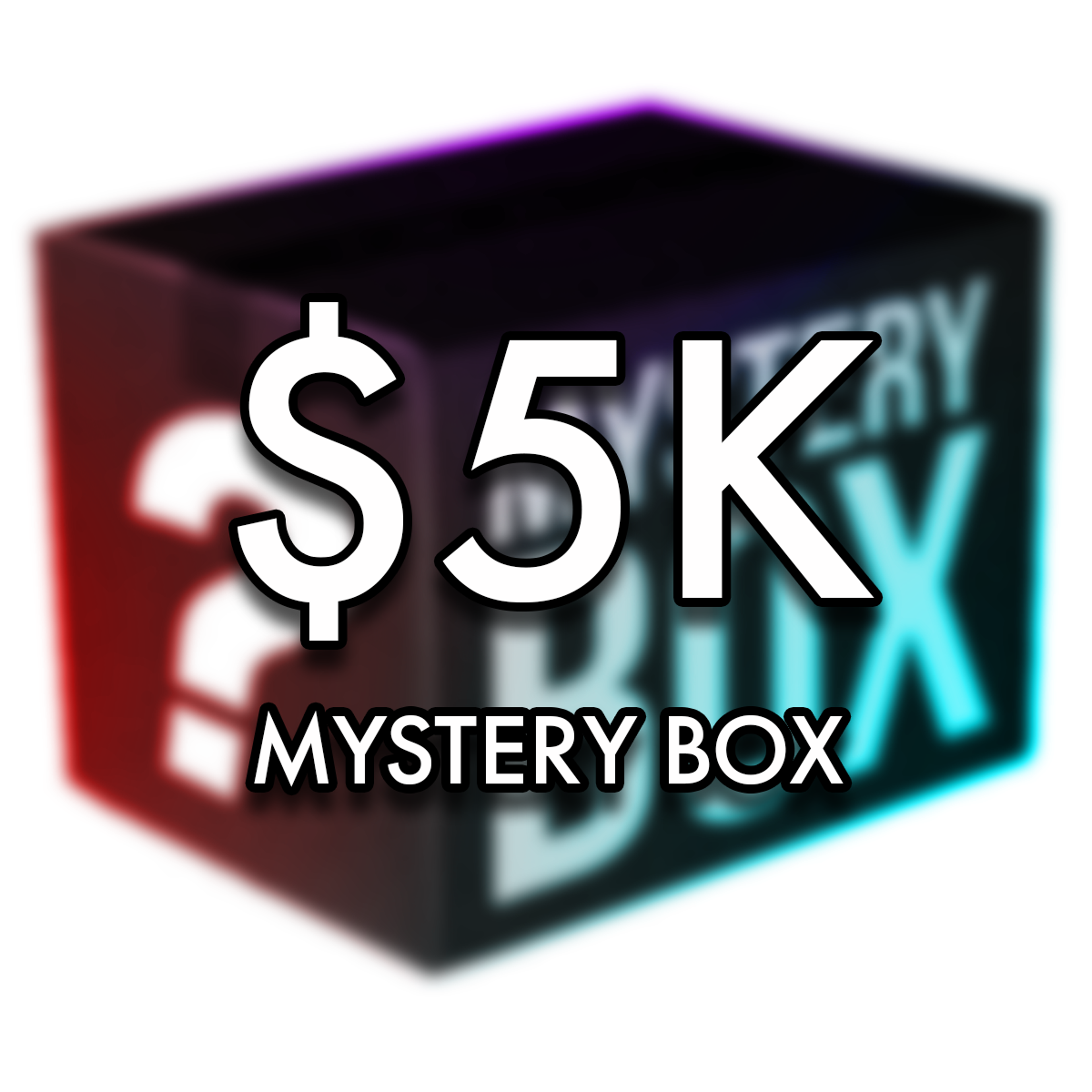 $5,000 Mystery Bag