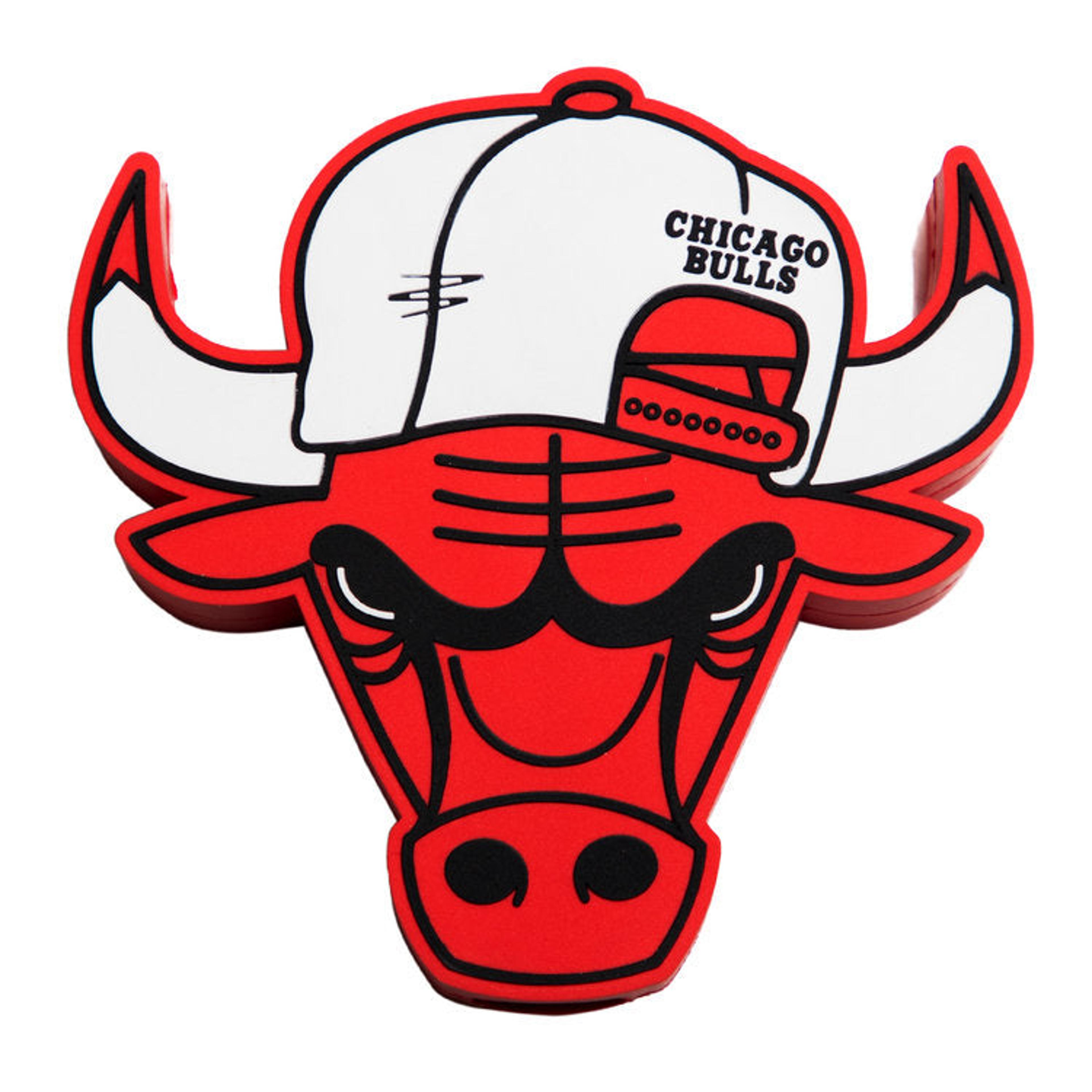 Stay Charged Up - Chicago Bulls Portable Charger