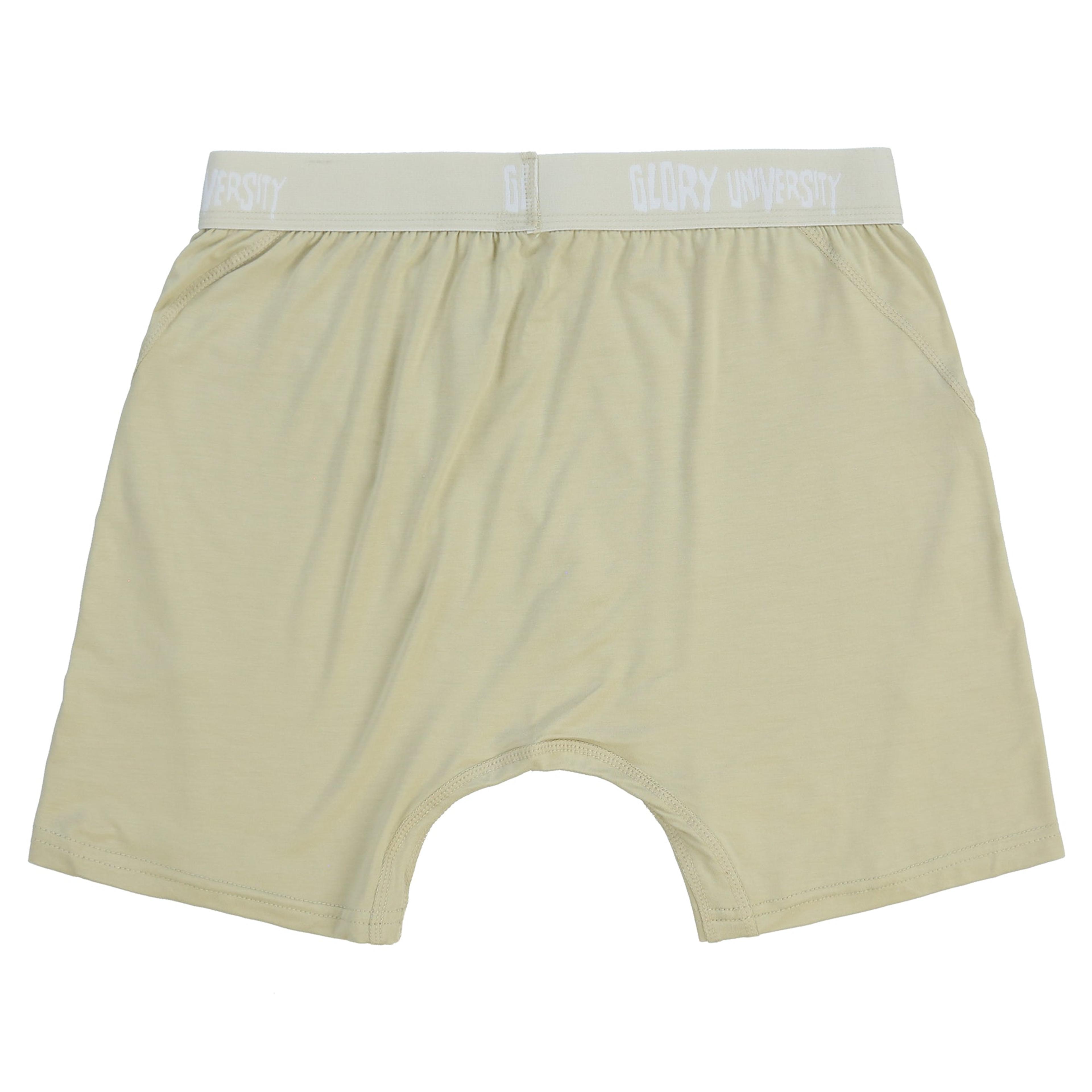 Alternate View 1 of Glo Gang Boxer Brief (Tan)