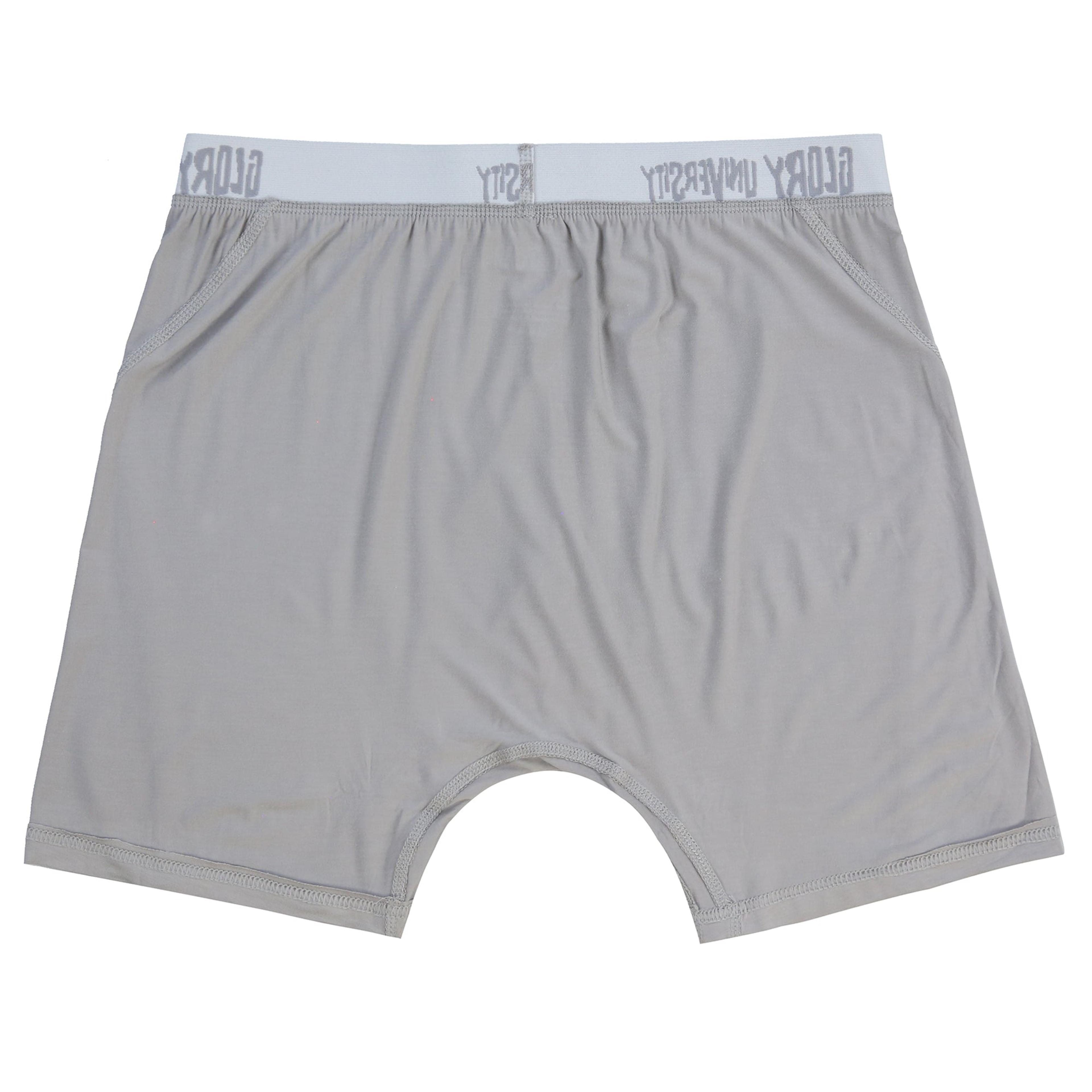 Alternate View 1 of Glo Gang Boxer Brief (Athletic Grey)