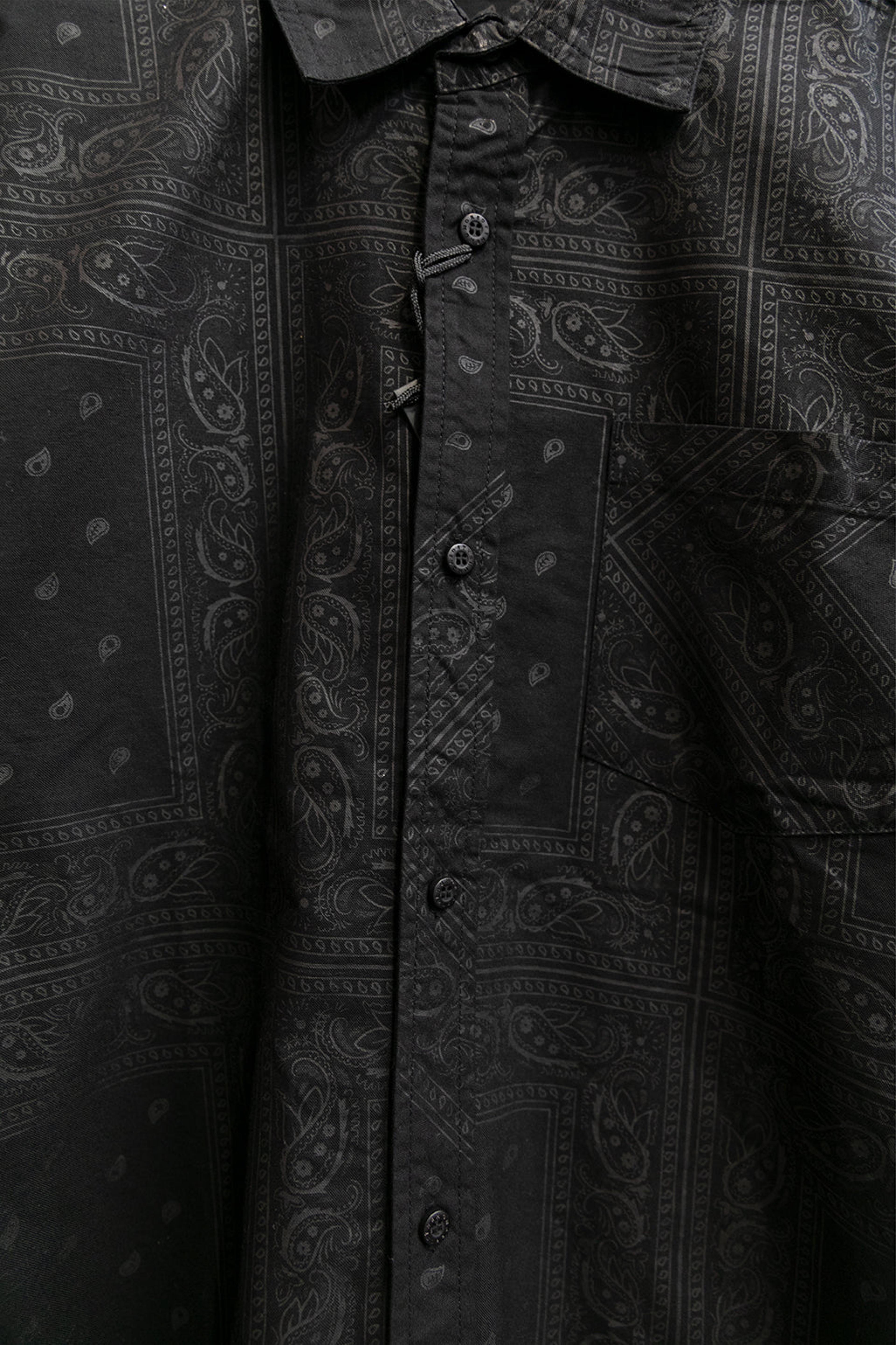 Alternate View 1 of Paisley Button-Up