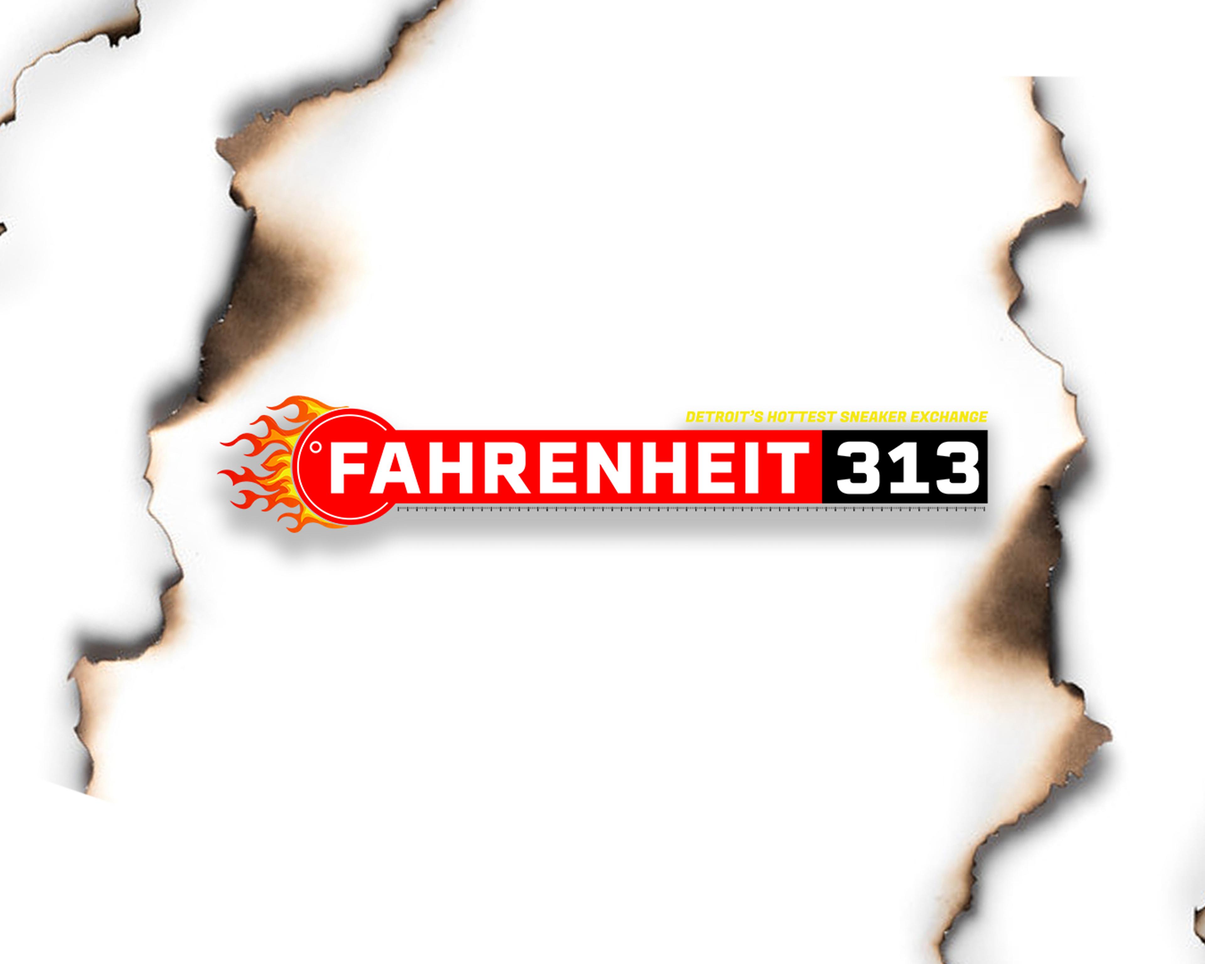Fahrenheit 313