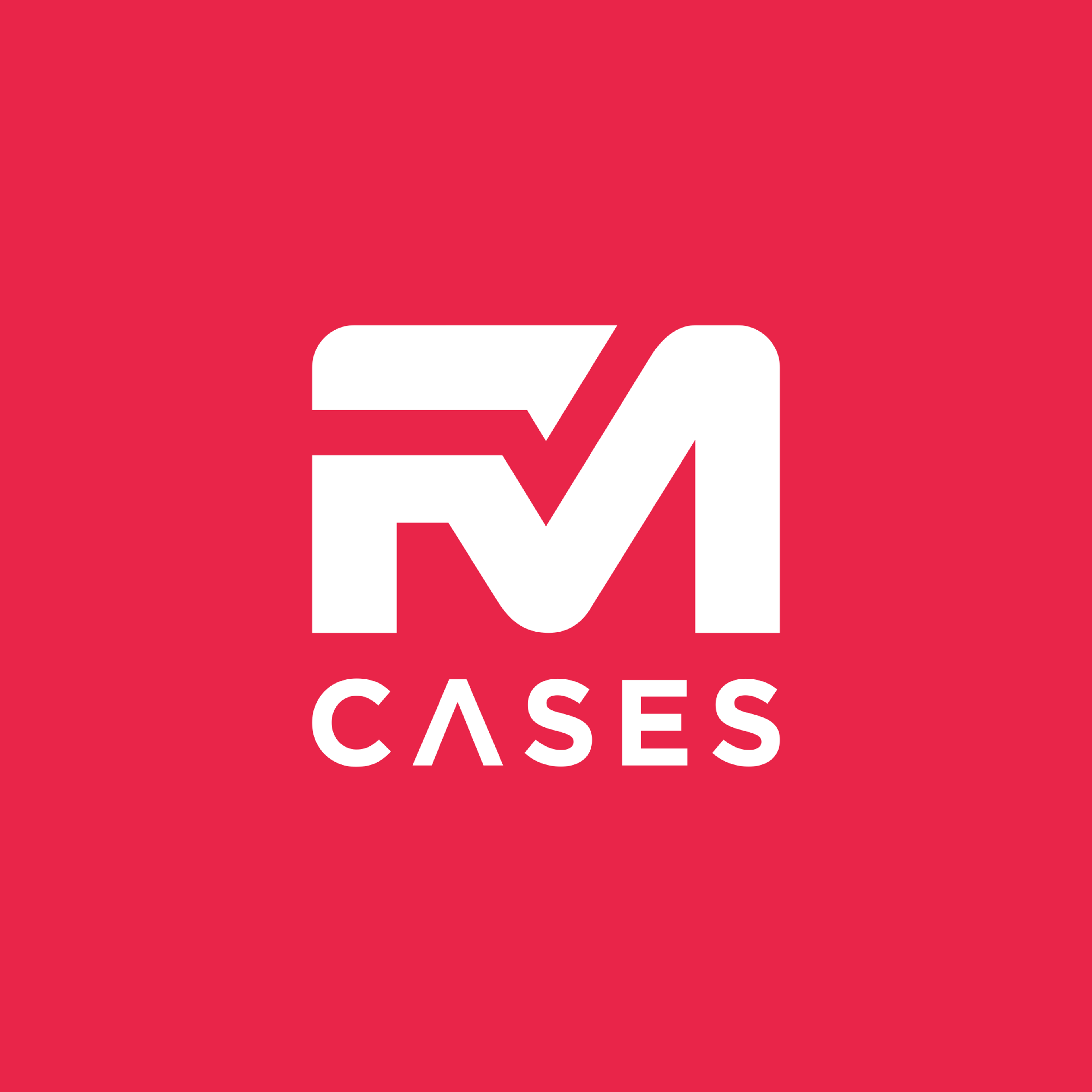 FM Cases